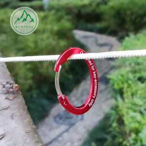 Egg-shaped aluminum alloy wire buckle Small backpack water bottle hook Camping lamp hook