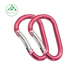 Colorful Aluminum Alloy Carabiner for Backpack and Water Bottle, Multi-Function D-Shaped Hook, Outdoor Spring Climbing Hook