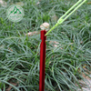 18cm Triangular Tent Peg Outdoor Tent Accessories Aluminum Alloy Reinforced Ground Peg Windproof Canopy Peg with Rope