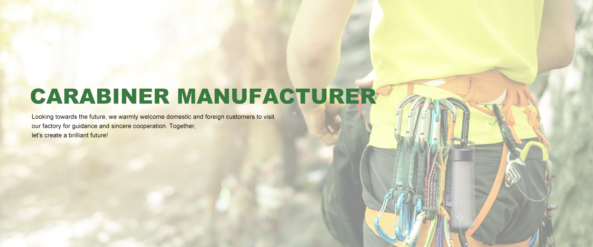 Customizable Durable Aluminum Carabiner Hook