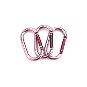 Special-Shaped Carabiner Runway Type
